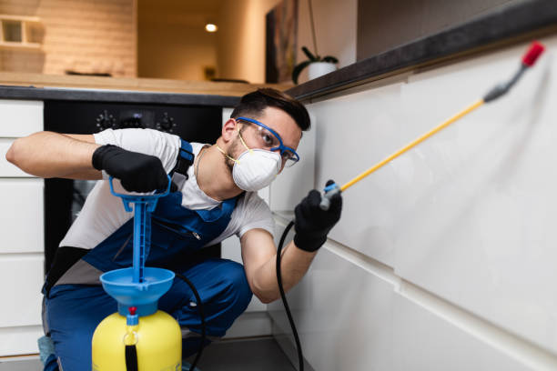 Best Pest Removal Services  in Spearman, TX