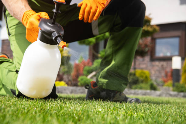 Best Pest Removal Services  in Spearman, TX