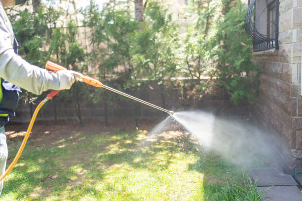 Best Best Pest Control Companies  in Spearman, TX