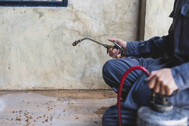 Best Best Pest Control Companies  in Spearman, TX